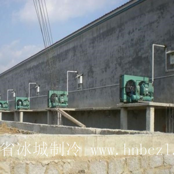 鄭州螺旋式速凍通道冷庫(kù)工程