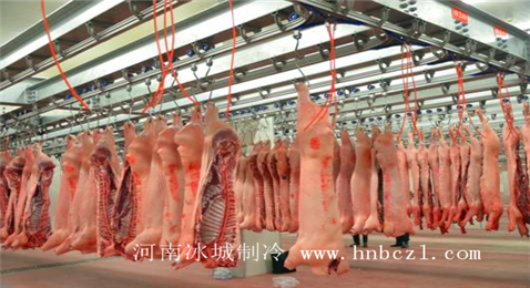 肉質(zhì)冷藏冷庫安裝