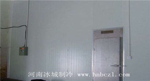 商丘果蔬保鮮冷庫(kù)安裝工程