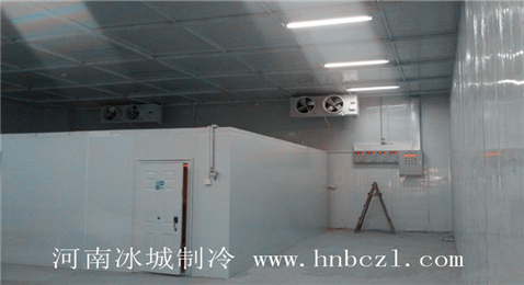 冰城制冷冷藏庫(kù)設(shè)計(jì)方案