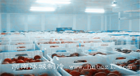 水果冷庫設(shè)計(jì)安裝工程完工現(xiàn)場
